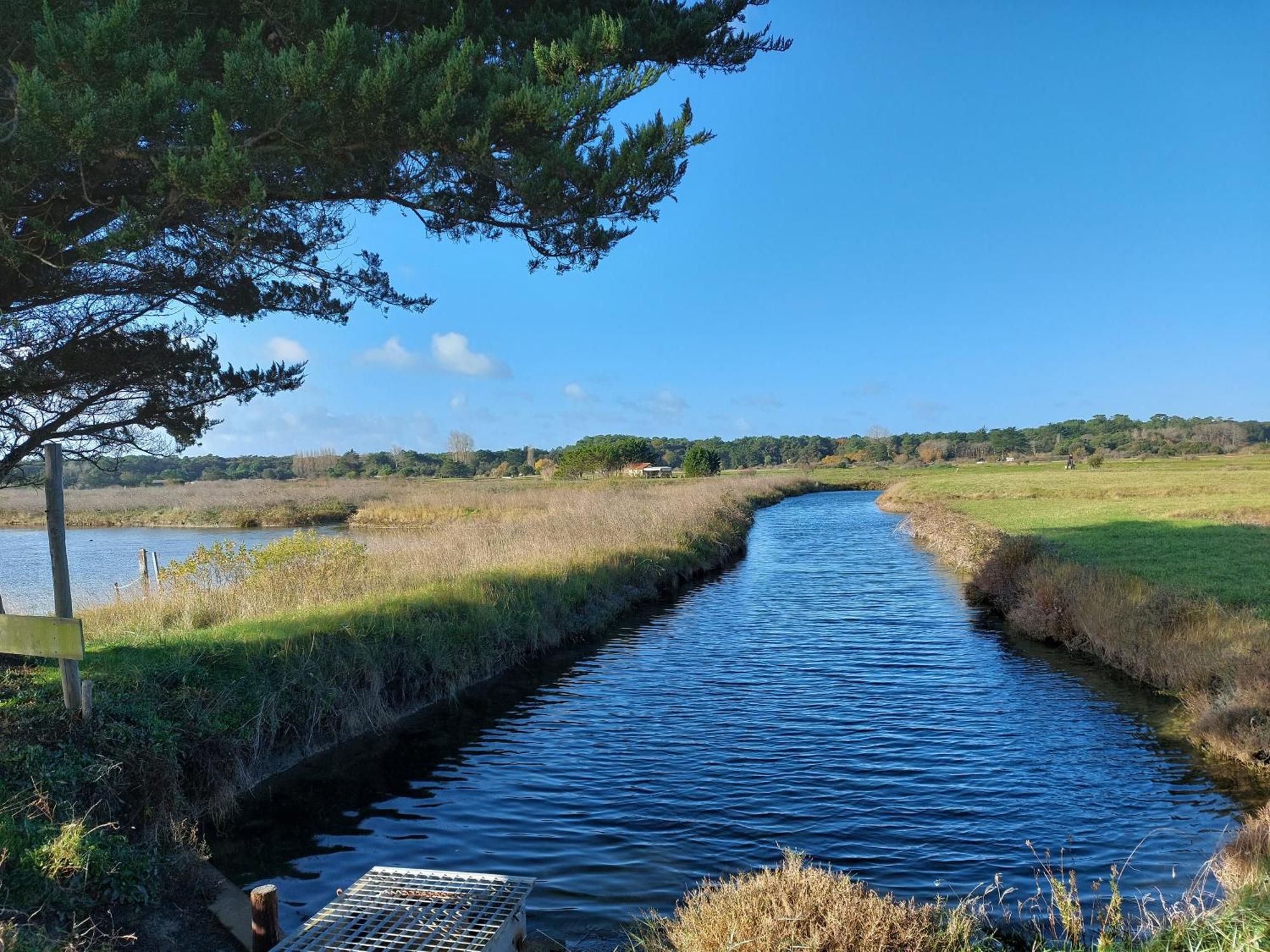Studio La Salicorne Au Sables D'Olonne Les Sables-dʼOlonne Exteriör bild
